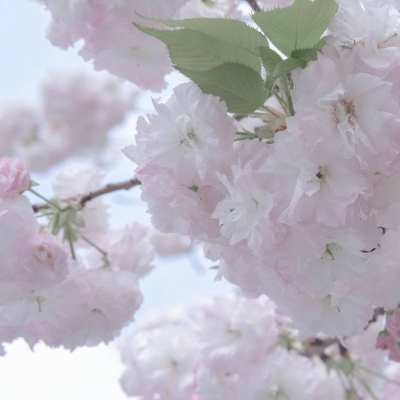 Furry插画元素技巧FurryQQ群